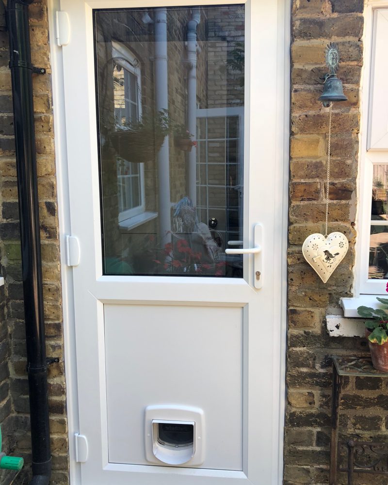 white back door with cat flap
