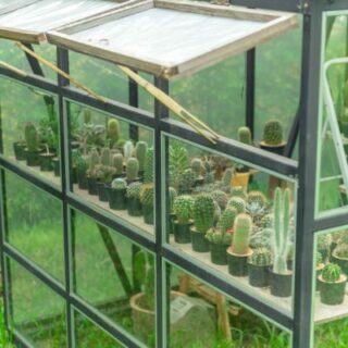 Greenhouse Glass