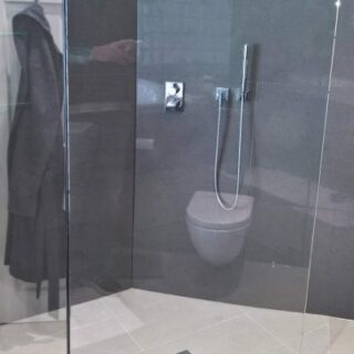 Glass shower screen