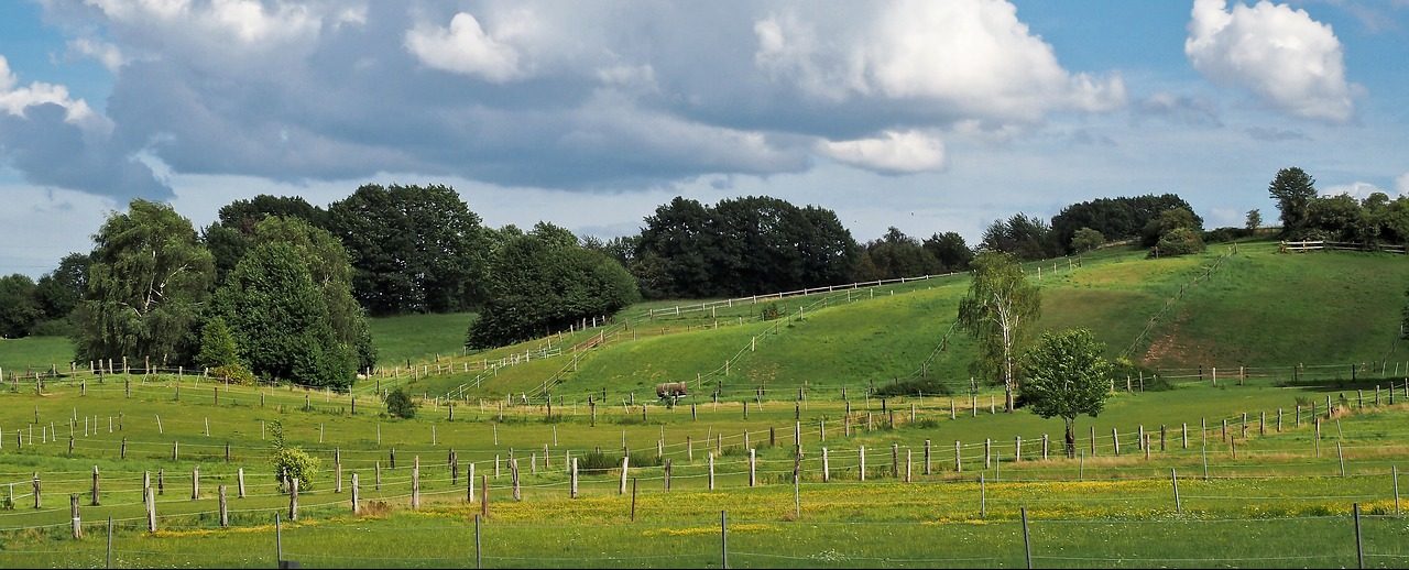 green countryside