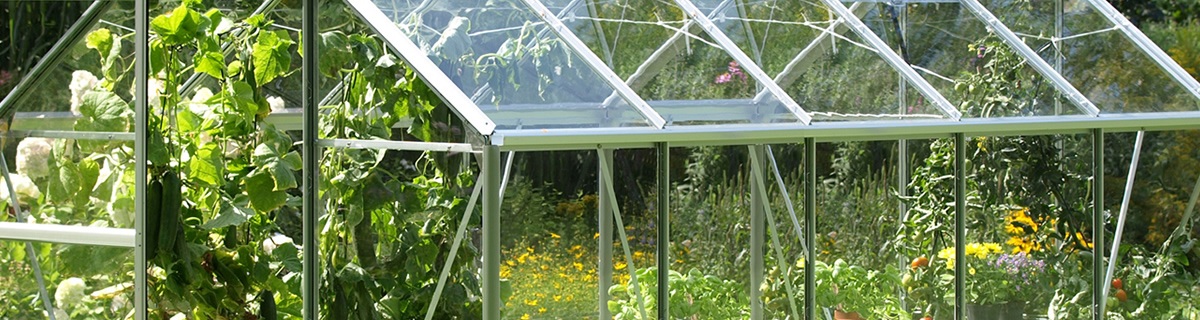 replacement greenhouse glass