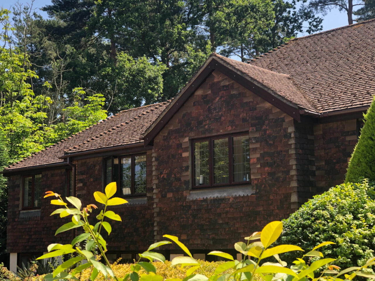 rosewood slimline windows