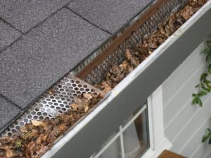 blocked gutter with leaves