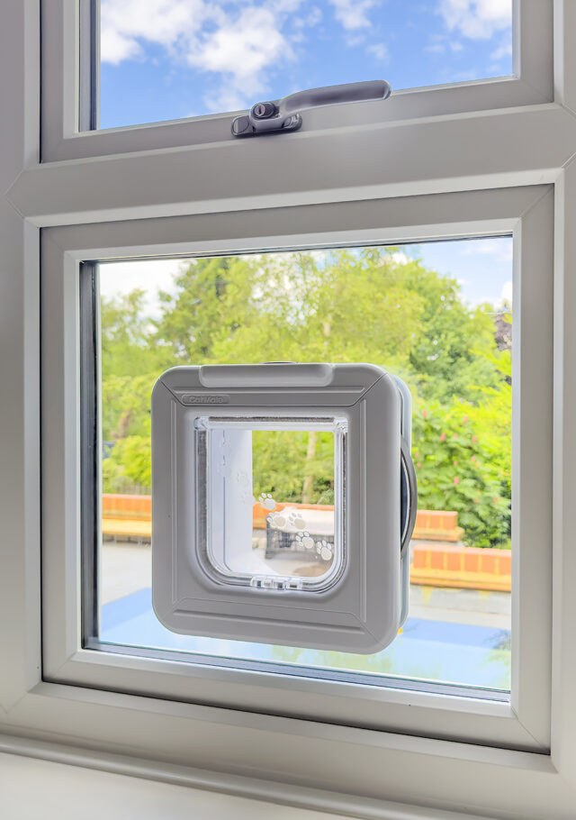 Window Cat Flap