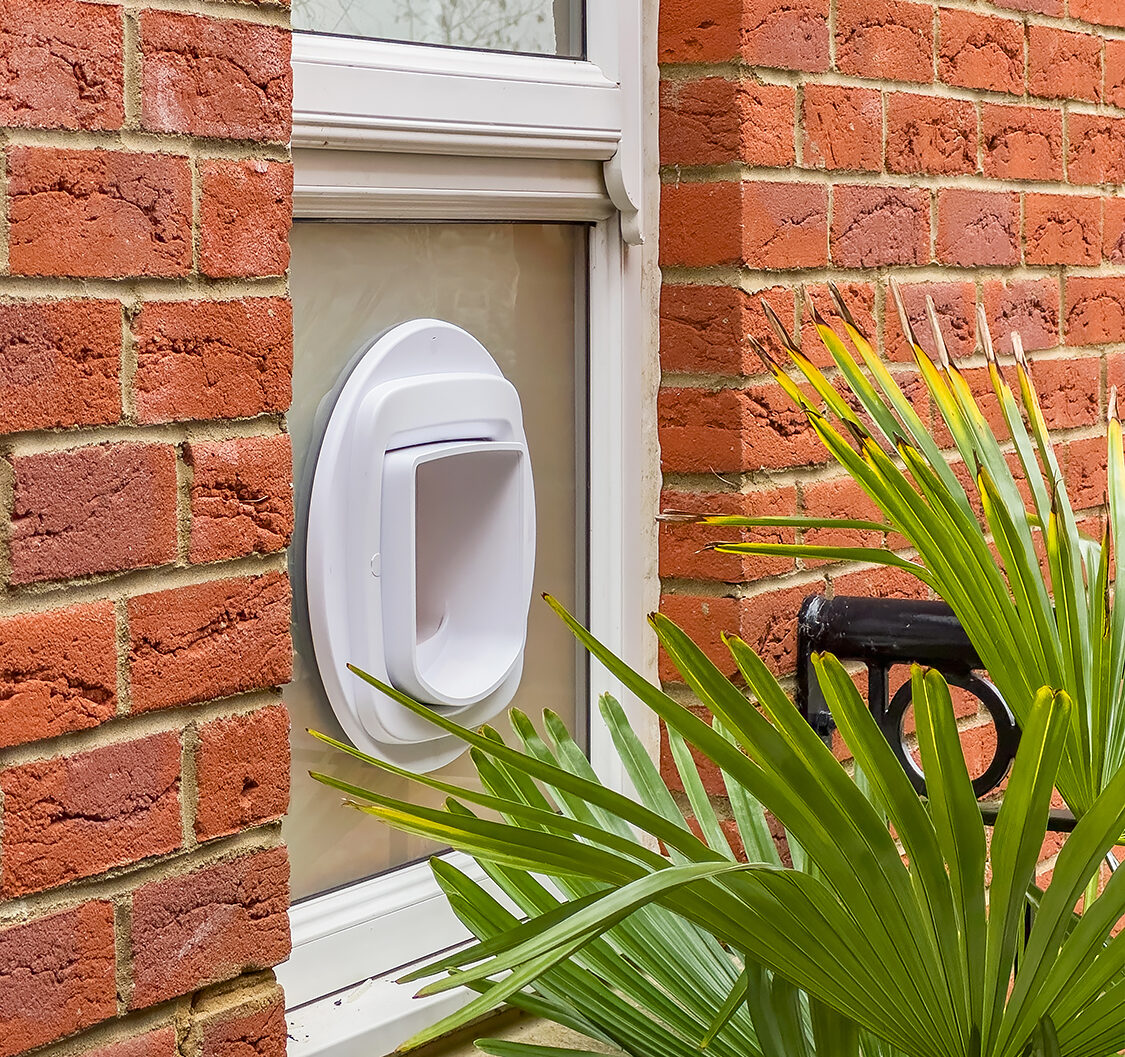 Cat Flap window installation